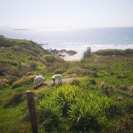 Anne'S Thatched Cottage Kilcar Exterior photo