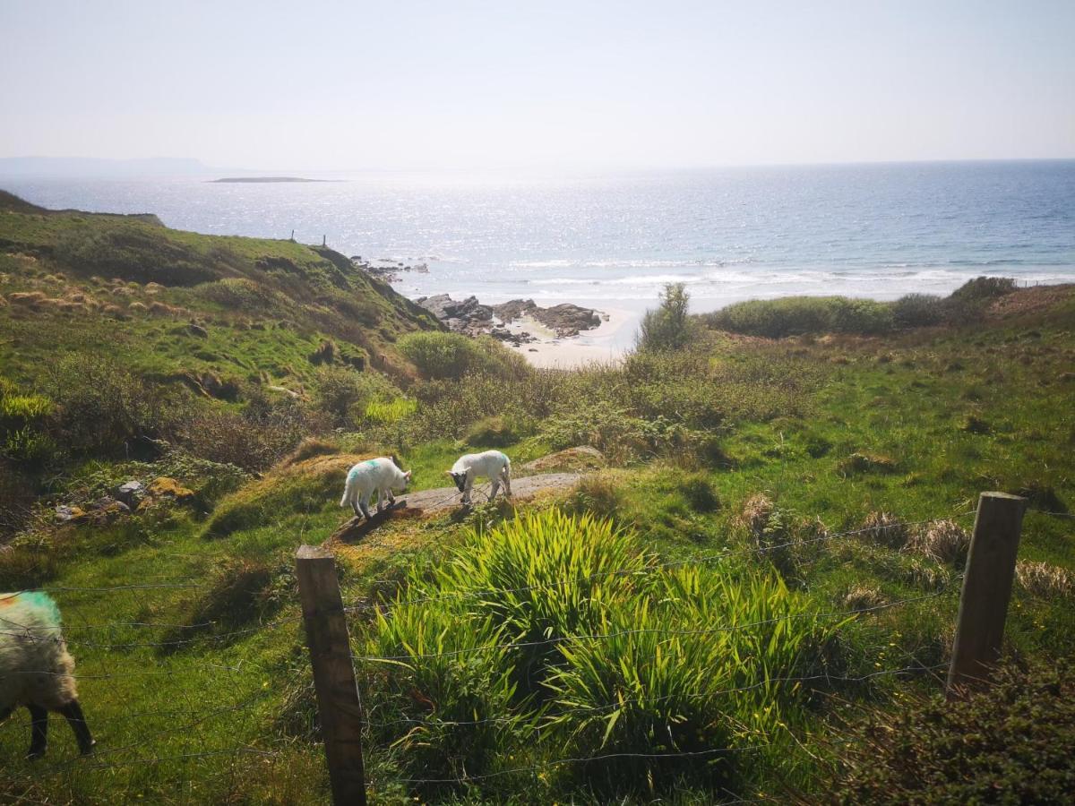 Anne'S Thatched Cottage Kilcar Exterior photo